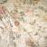 Ткань для римской шторы Elegance Eliza